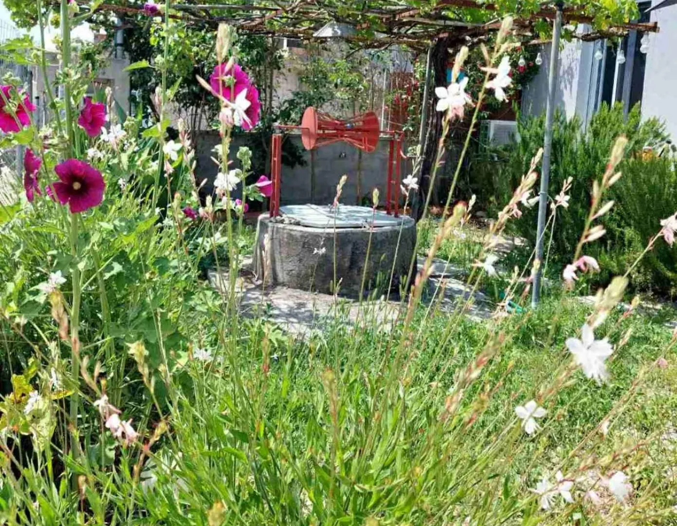 Eva'S Place Lixouri Greece